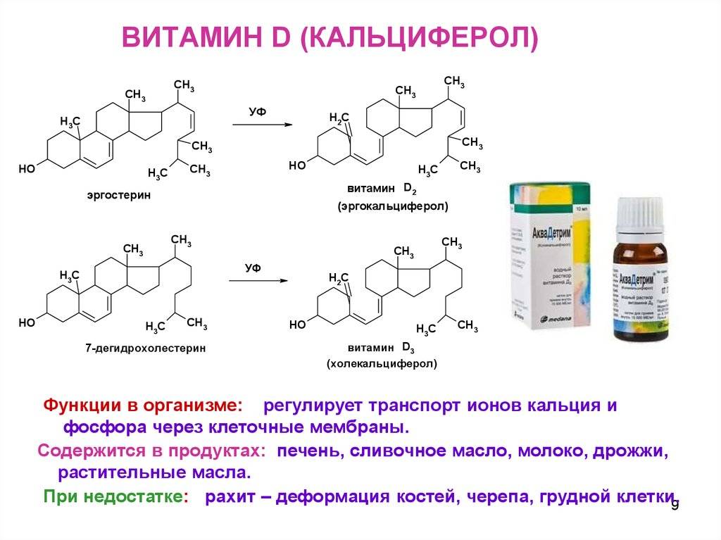 Витамин d2, эргокальциферол | food and health