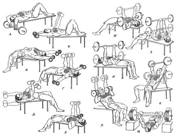 Упражнения на грудь в домашних условиях: тренировки с гантелями и без для мужчины дома, самостоятельная прокачка грудинной мышцы