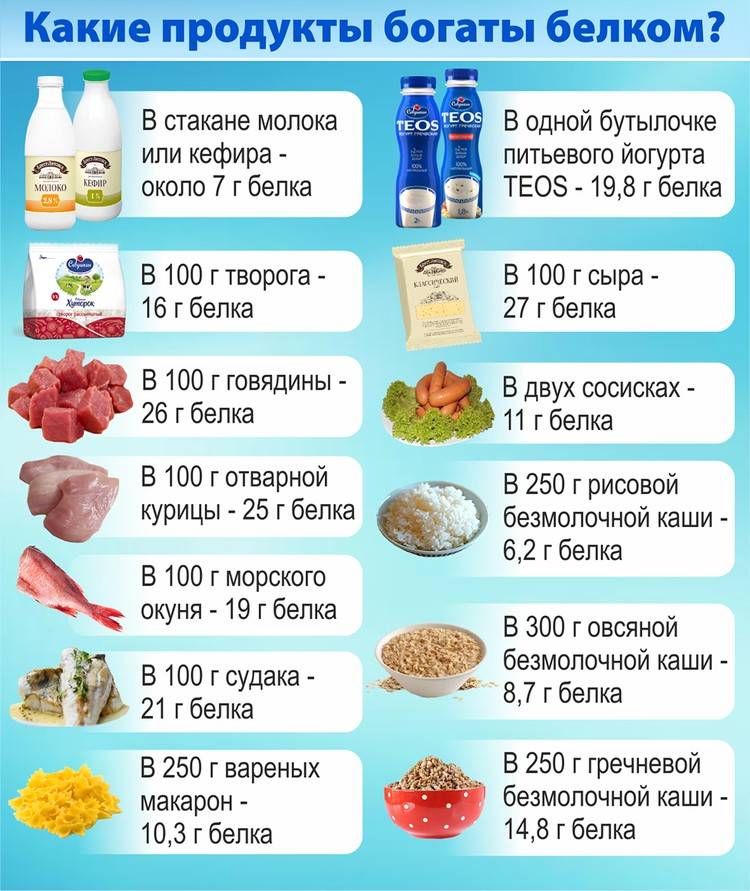 В каких продуктах содержится белок в большом количестве - список (таблица) - сила здоровья
