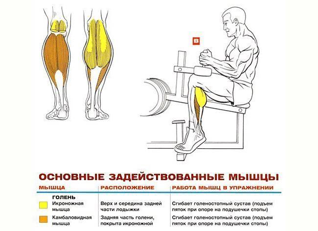 Как растягивать икроножные мышцы? растяжка икр ног