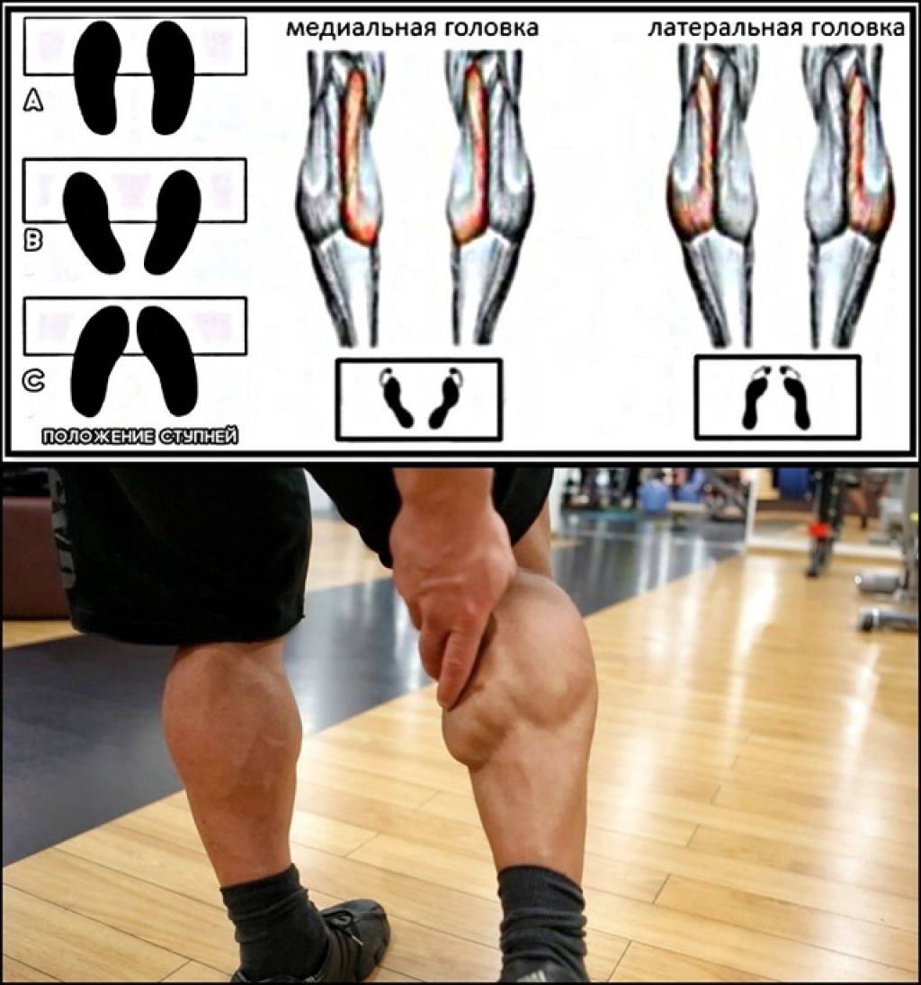 Внутренняя сторона ноги. Как прокачать мышцы ног. Упражнения для прокачки икр. Упражнения для икронодныхмышц. Упражнения для икроножных мышц.