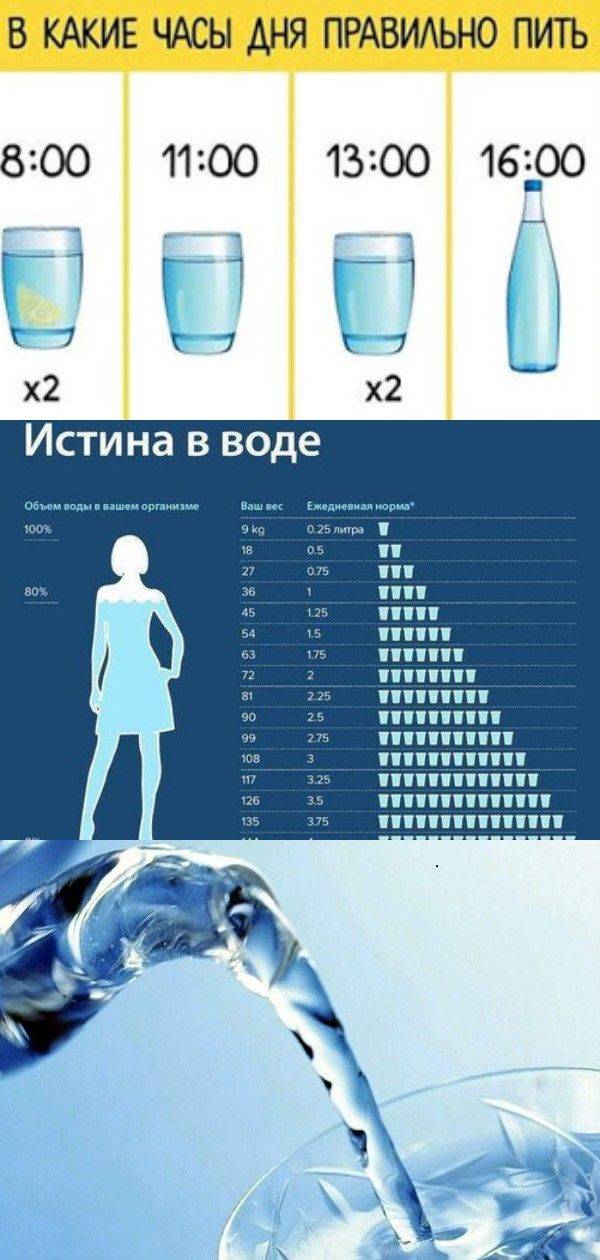 Как правильно пить воду в течение дня, чтобы похудеть / отстраиваем режим – статья из рубрики "еда и вес" на food.ru
