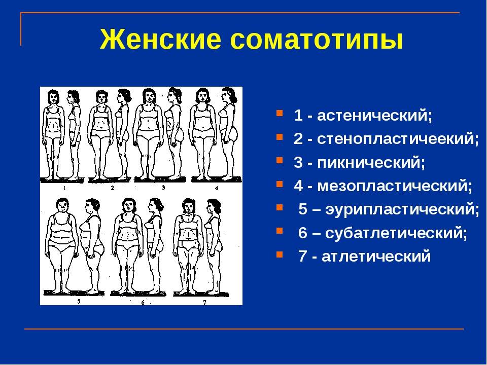 Нормостеник: определяем тип личности по телосложению. характеристика нормостеника и тест