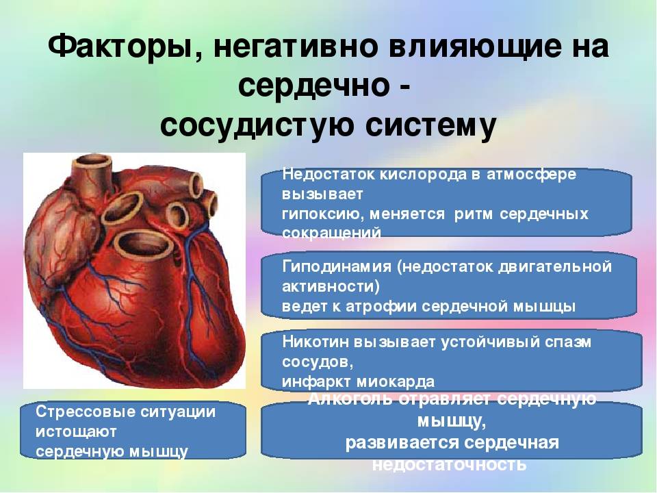 Презентация на тему профилактика сердечно сосудистых заболеваний