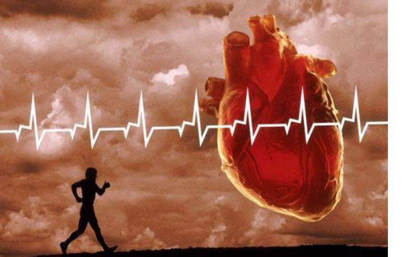 Зачем и как тренировать сердце