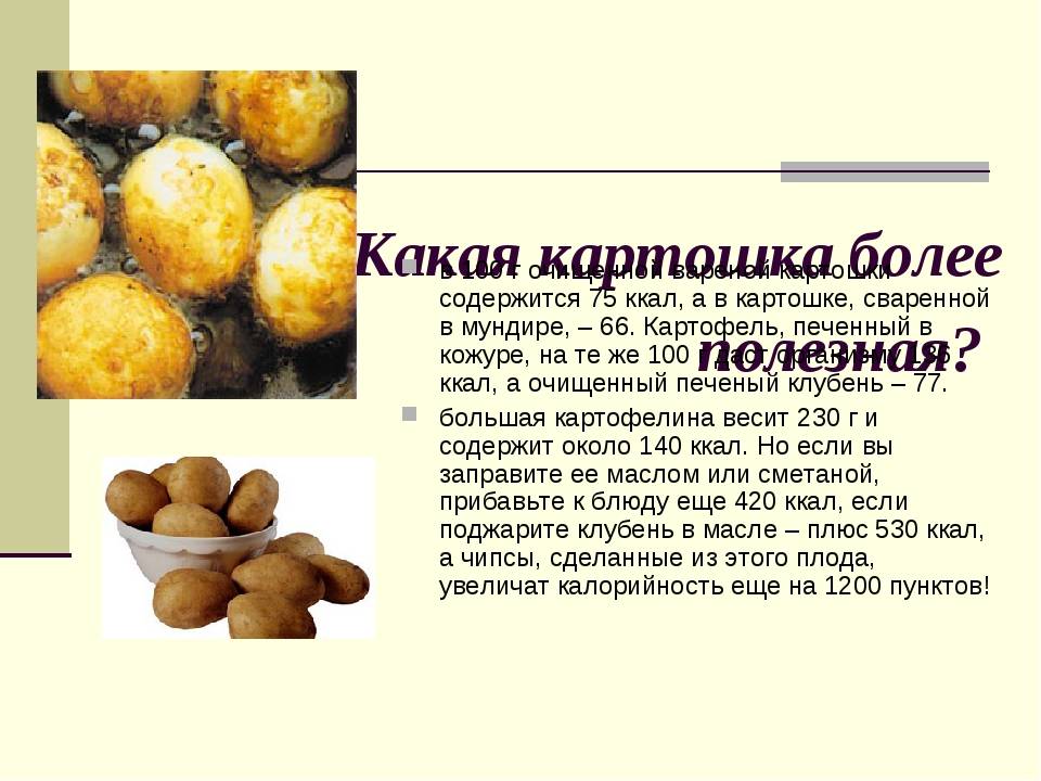 Какова калорийность картофеля на 100 грамм