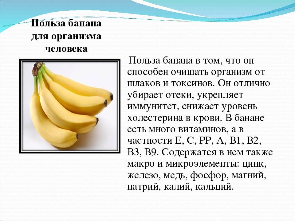 Бананы: польза и вред для организма человека, питательная ценность, калорийность и химический состав бананов