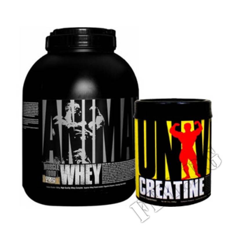 Torrent от universal nutrition - спортивное питание на dailyfit