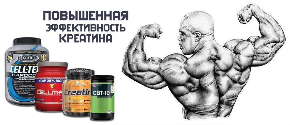 Виктор селуянов: питание на дистанции. креатин и другие пищевые добавки. парадоксы анаболических стероидов » фатальная энергия