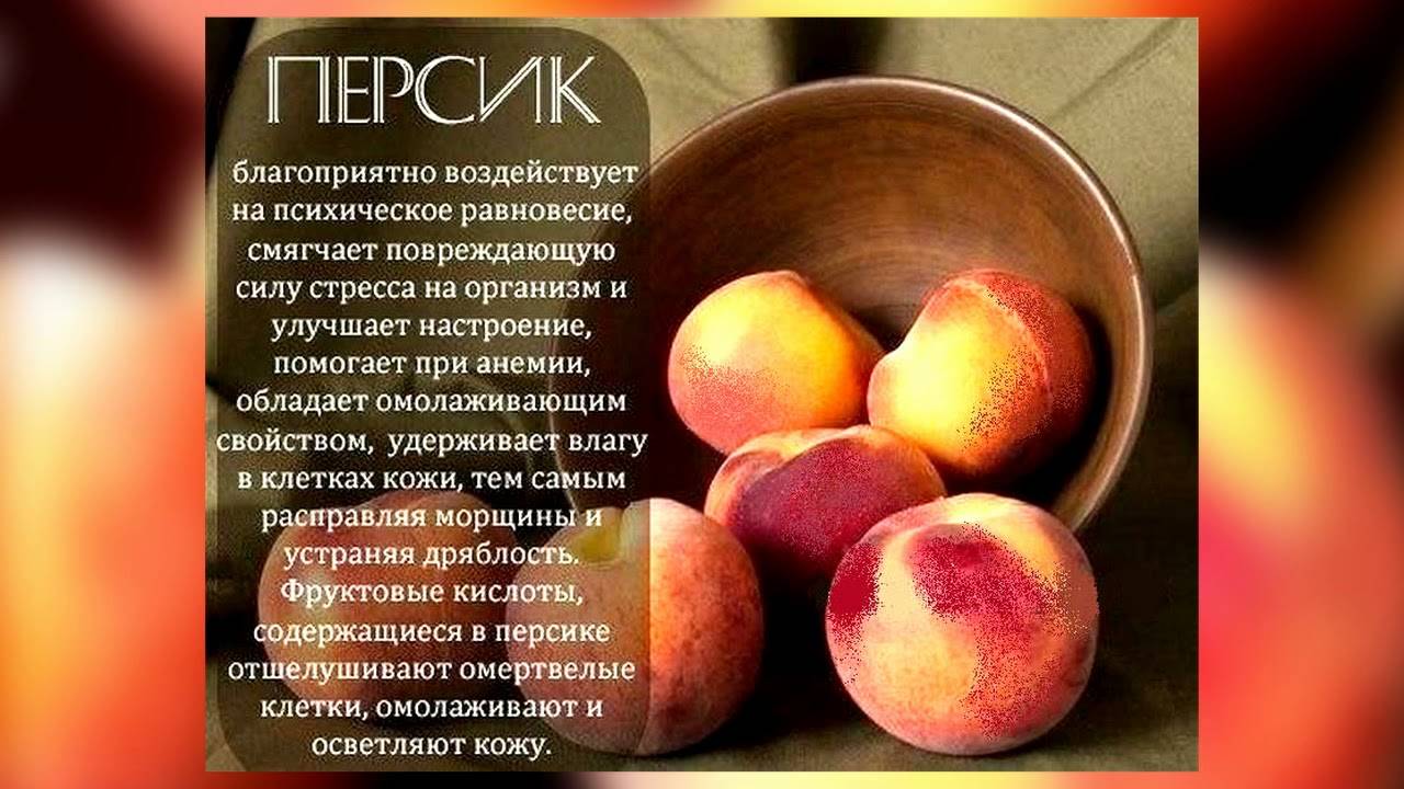 Польза и вред персиков для здоровья, калорийность