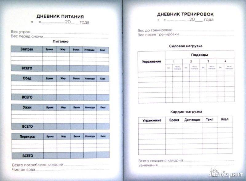 Дневник тренировок: зачем он нужен и как его вести - жизнь в москве - молнет.ru