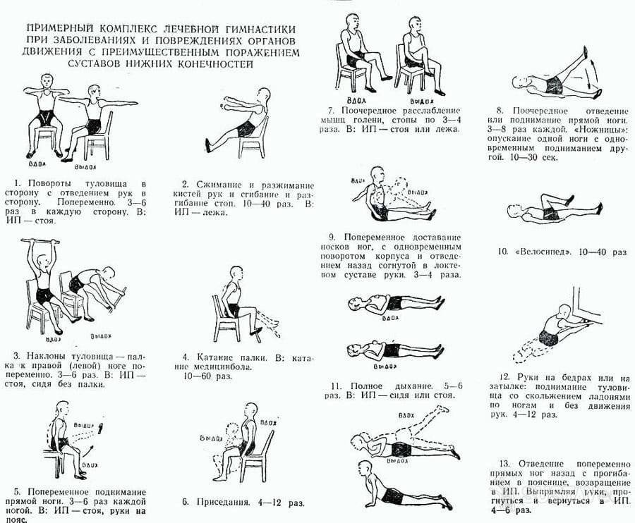 Гимнастика для дачника. как избавиться от боли в спине и суставах