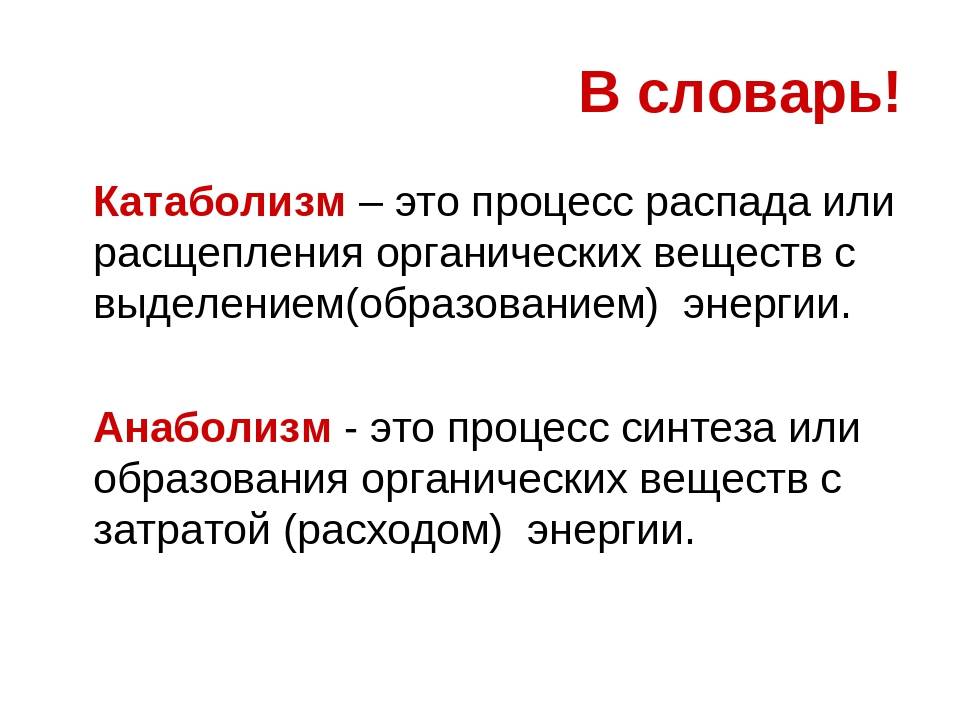Понятие анаболизма и катаболизма. основные этапы. характеристика метаболических путей превращения основных классов органических веществ