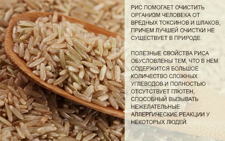 Черный рис: польза и вред, калорийность на 100 граммов, способы приготовления
