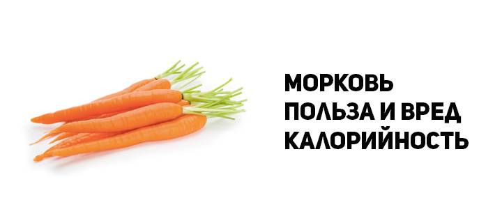 Морковь килокалории. Калорийность 1 моркови сырой. Морковь ккал. Энергетическая ценность моркови. Калорийность морковки.