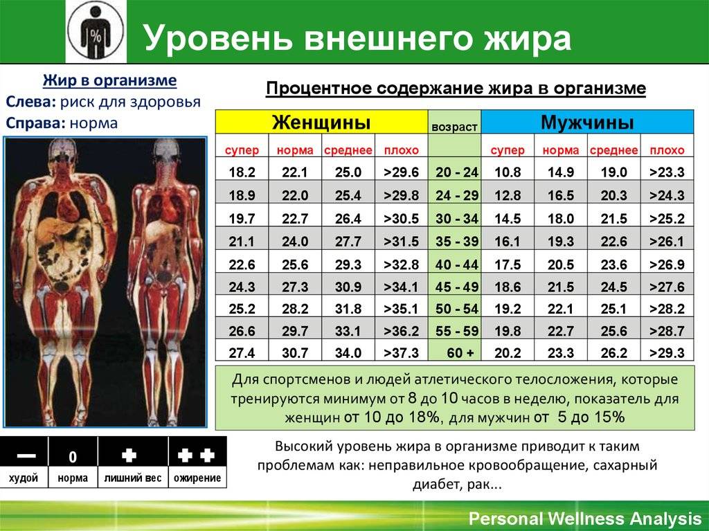 Анализ состава тела