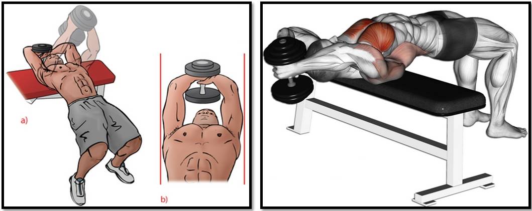 Как накачать грудные мышцы с помощью гантелей