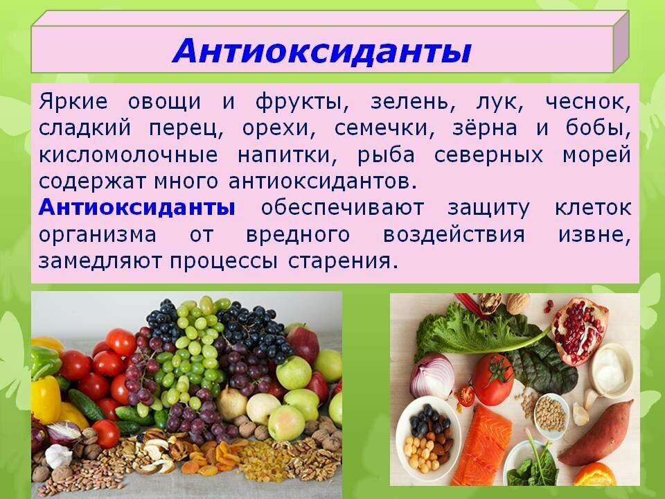 Овощи: польза и вред для организма, как правильно употреблять овощи