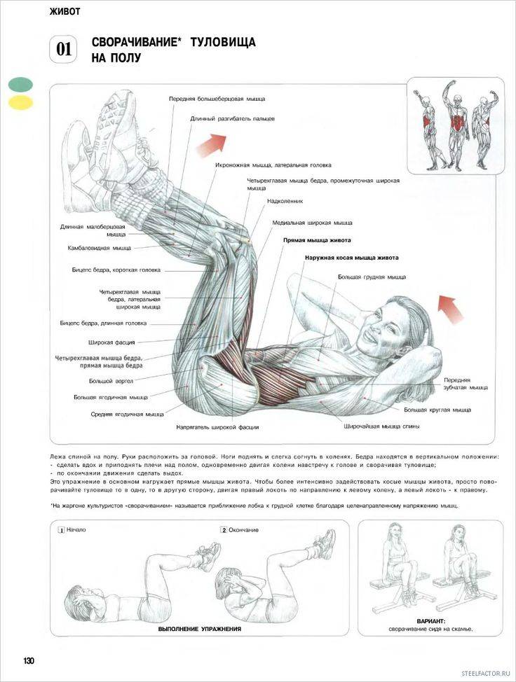 Упражнения для боковых мышц пресса: рекомендации, советы