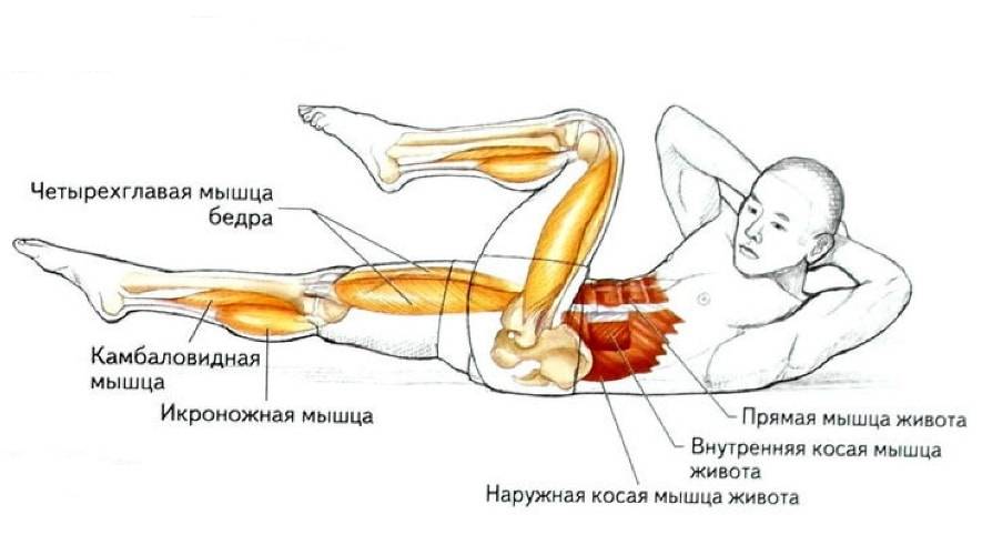 Упражнение велосипед лежа на спине и стоя: какие мышцы работают, как правильно делать