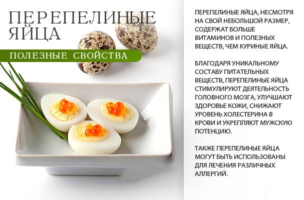 Разбираем состав куриного яйца: подробное описание и калорийность - питание - vitaminov.net