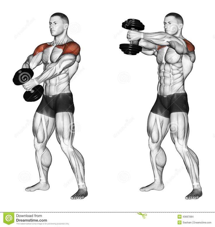 Упражнения на плечи в домашних условиях для мужчин