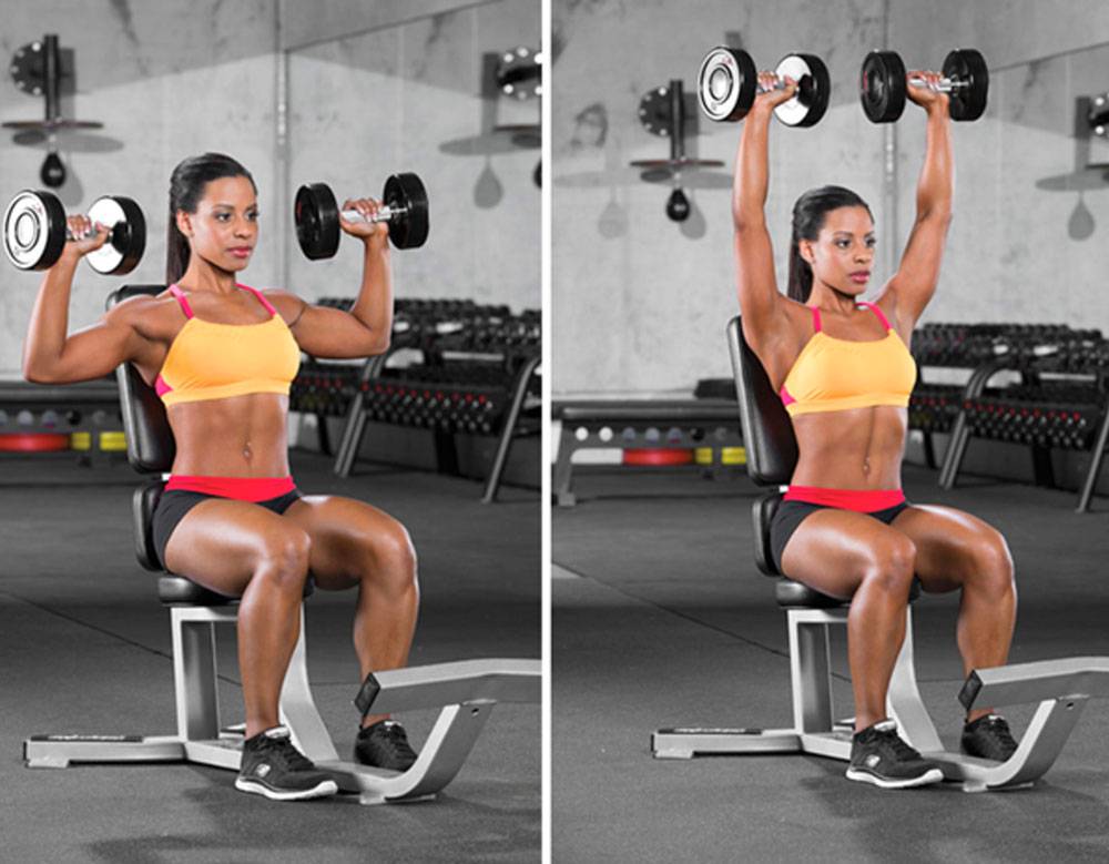 Seated Dumbbell overhead Press