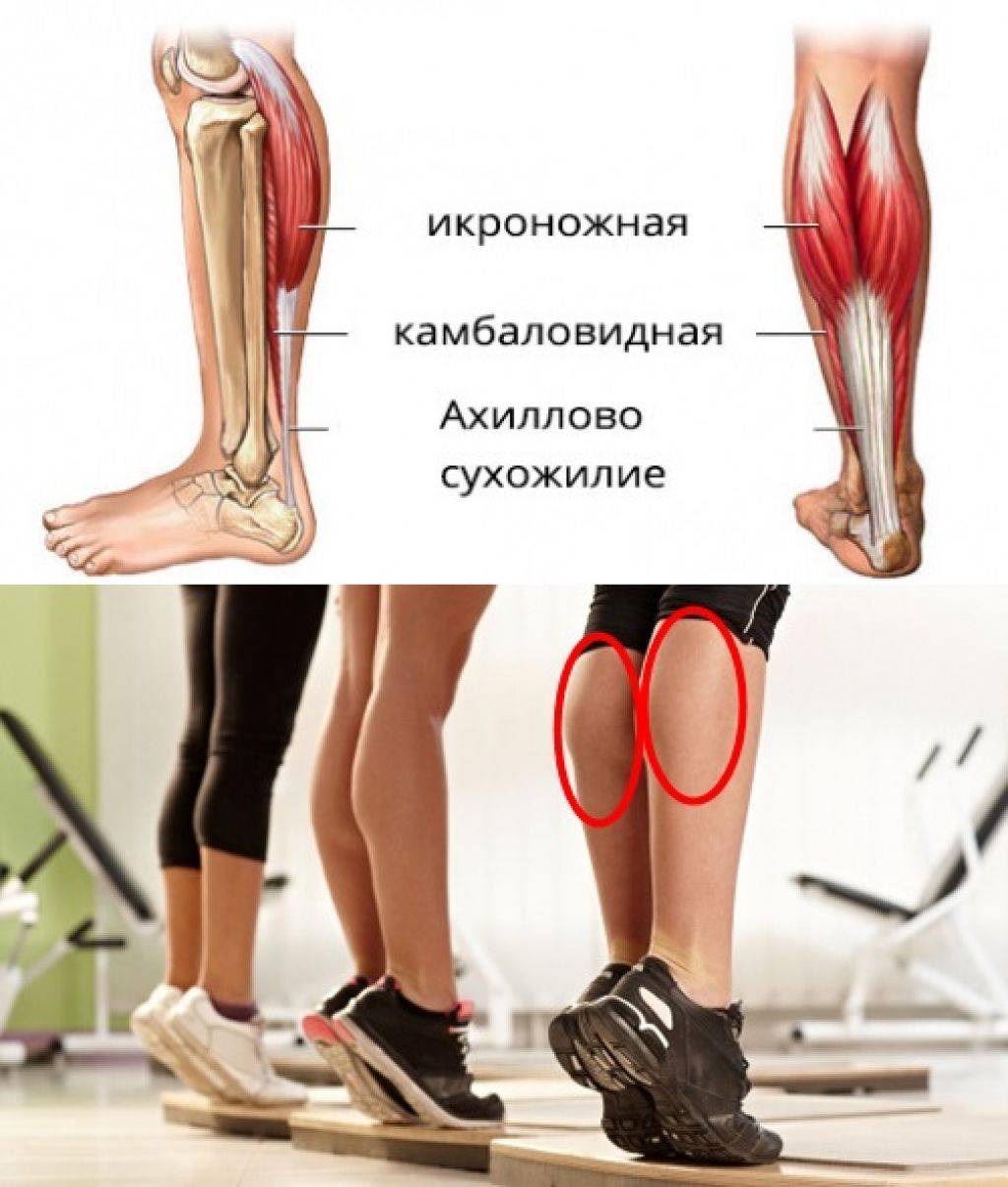 Как накачать икры ног в домашних условиях? упражнения для икроножных мышц - tony.ru