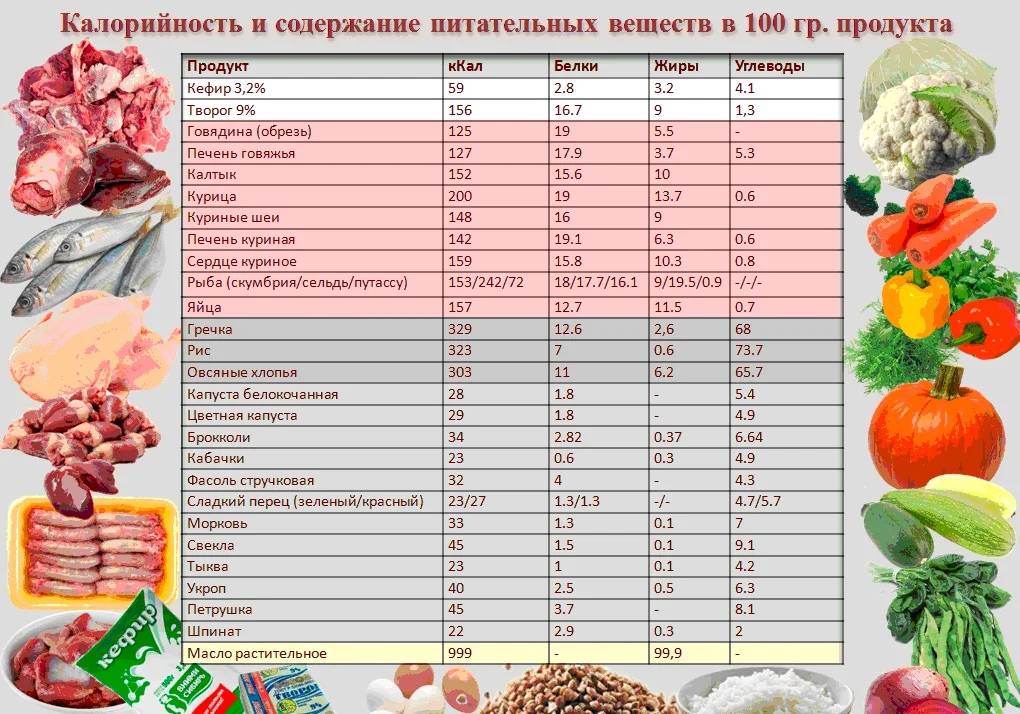 Таблица калорийности продуктов питания на 100 грамм, бжу продуктов