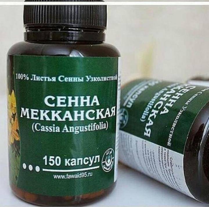 Мекканская сенна фото