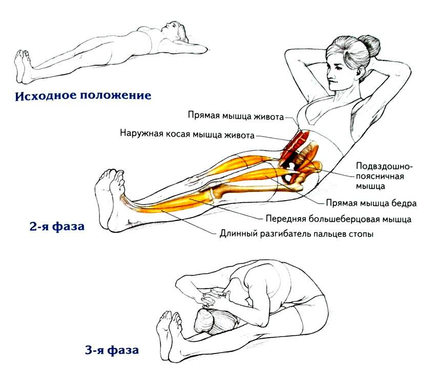 Русский твист: техника выполнения упражнения для косых мышц пресса