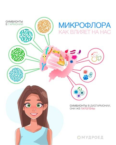 Микробиом человека презентация