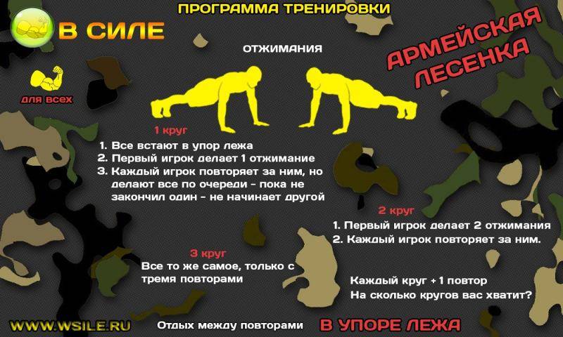 2 лучших программы тренировок на выносливость для дома и спортзала