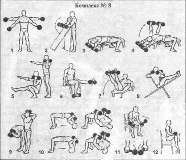 Освоение комплексных силовых упражнений на различные группы мышц без предметов рисунок