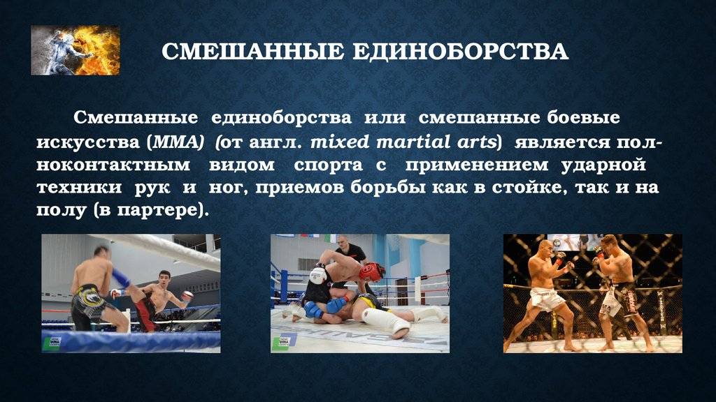 Популярные виды единоборств в россии: выбираем зал и спортинвентарь