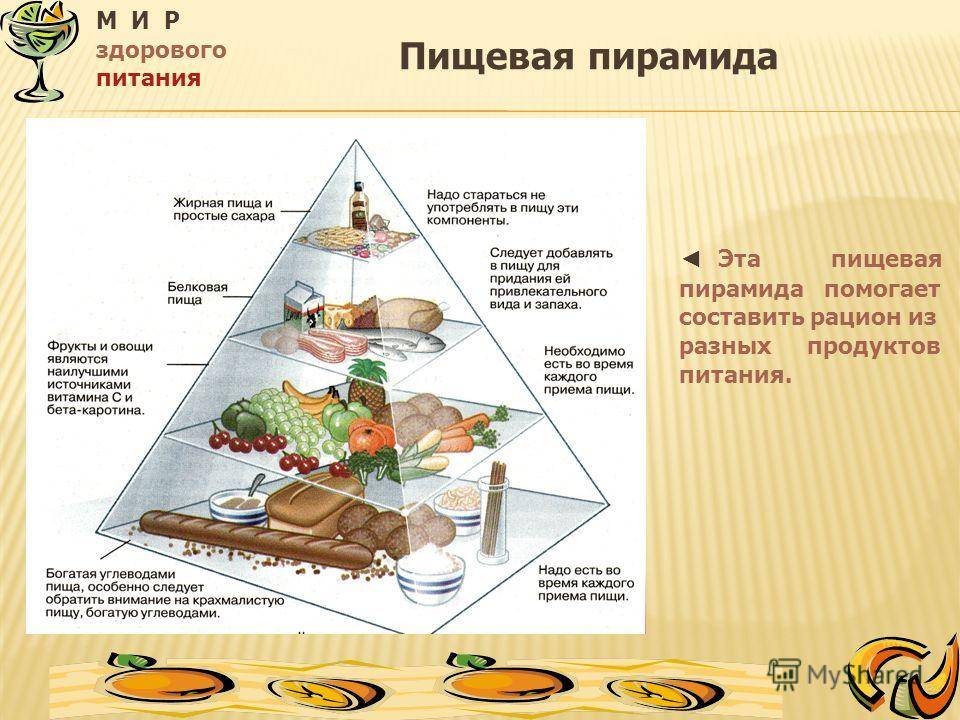 Особенности пищевой пирамиды для взрослых и детей