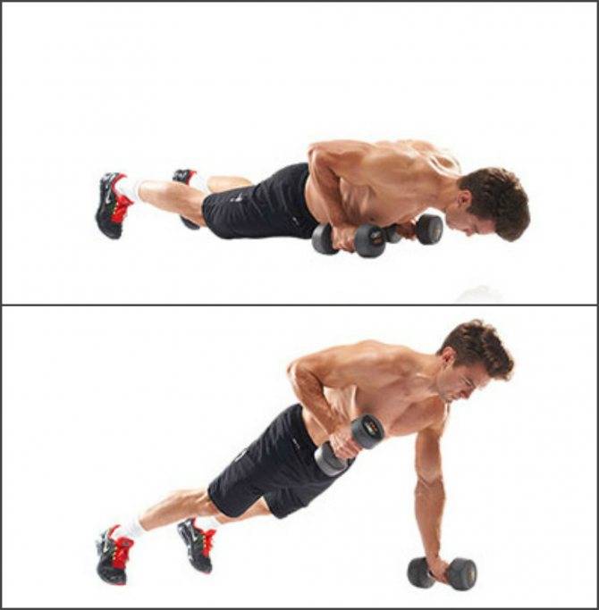 Упражнения на спину в домашних условиях с гантелями для мужчин. упражнения для мышц спины с гантелями
