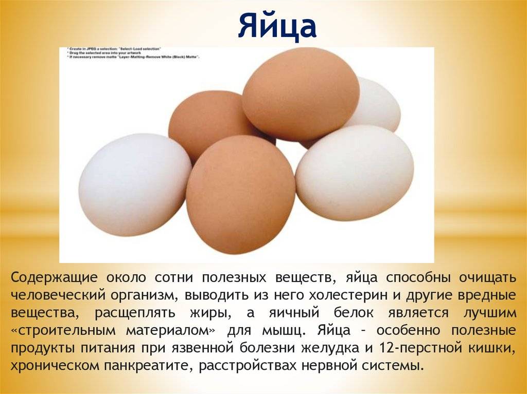 Яйца в бодибилдинге: сколько нужно есть яиц в день для роста мышц