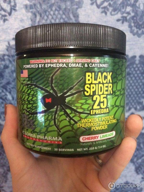 Жиросжигатель black spider: инструкция по применению таблеток