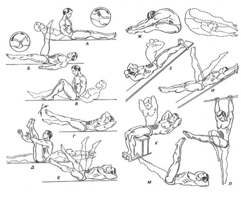 30 лучших упражнений на пресс — на верхние и нижние мышцы живота