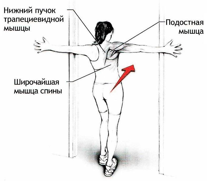 Растянуть по ширине картинку