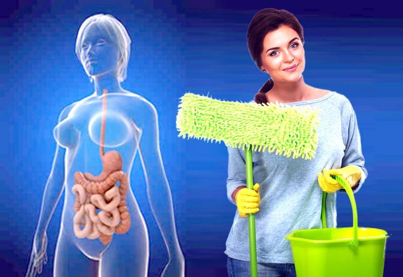 Как очистить организм от шлаков, токсинов и вредных веществ безопасно