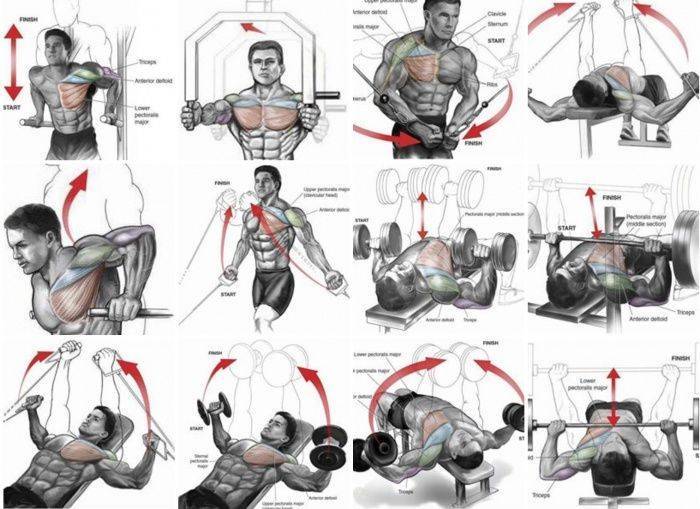 Лучшие тренажеры для грудных мышц, особенности и техника выполнения упражнений