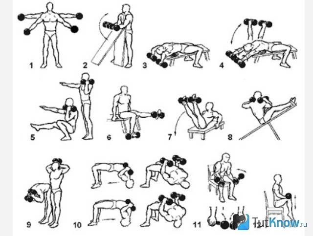 Упражнения с гантелями в домашних условиях: комплекс из 9 лучших движений на все группы мышц для мужчин и женщин