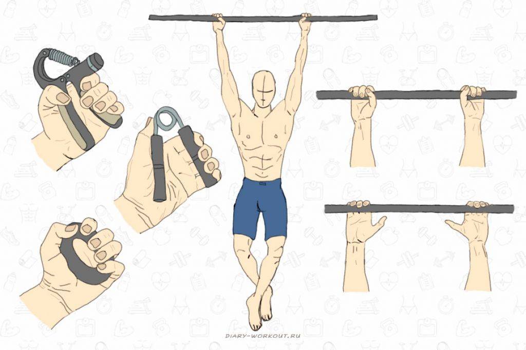 Брахиалис: как накачать мышцу - анатомия и лучшие упражнения с гантелями и на турнике, паучьи сгибания в домашних условиях