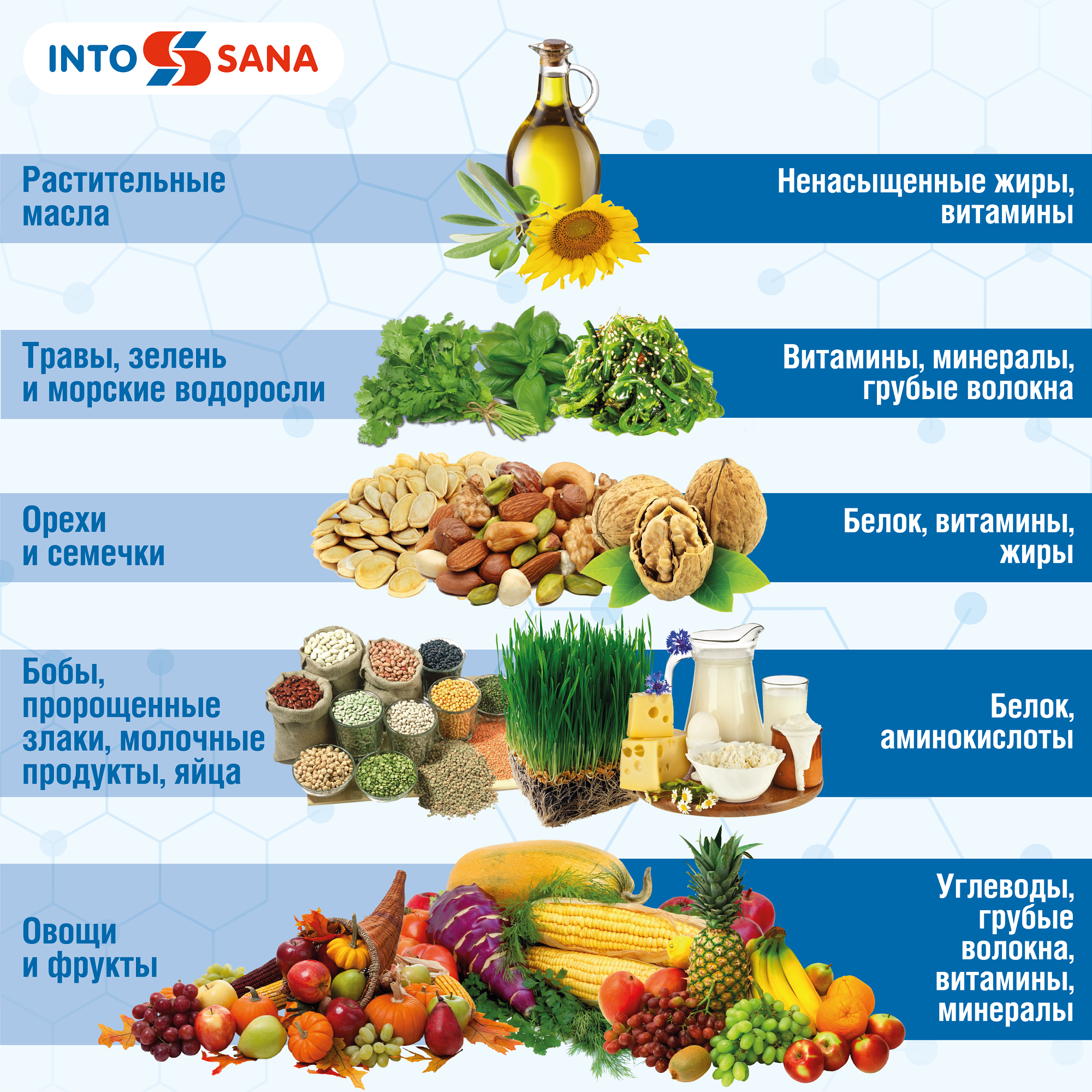 Продукты сыроедение. Список продуктов сыроеда. Диета сыроеда. Рацион питания сыроеда.