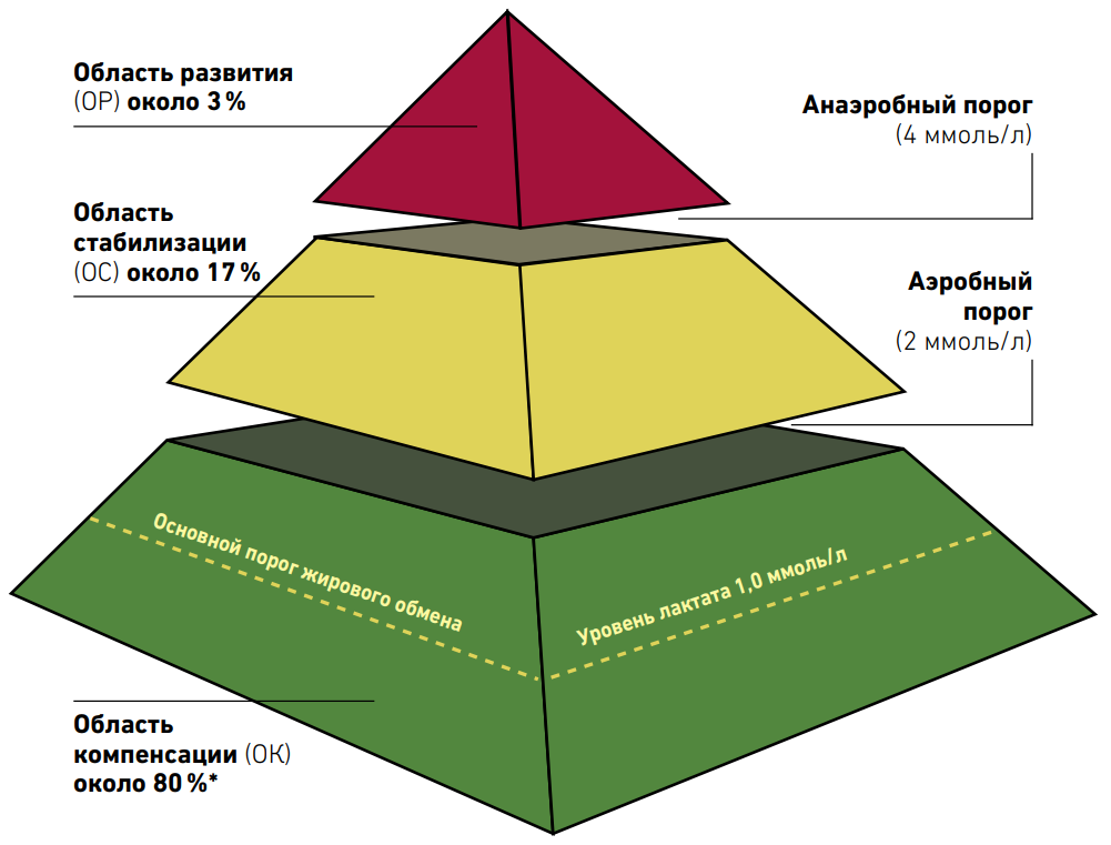 Половозрастная пирамида населения: характеристика, виды :: syl.ru