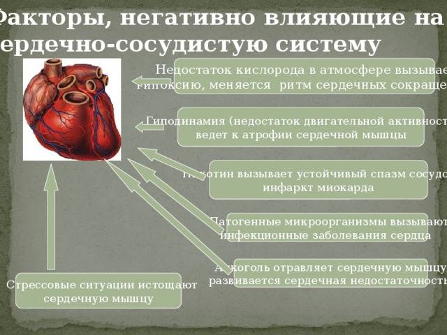 Средства влияющие на сердечно сосудистую систему презентация