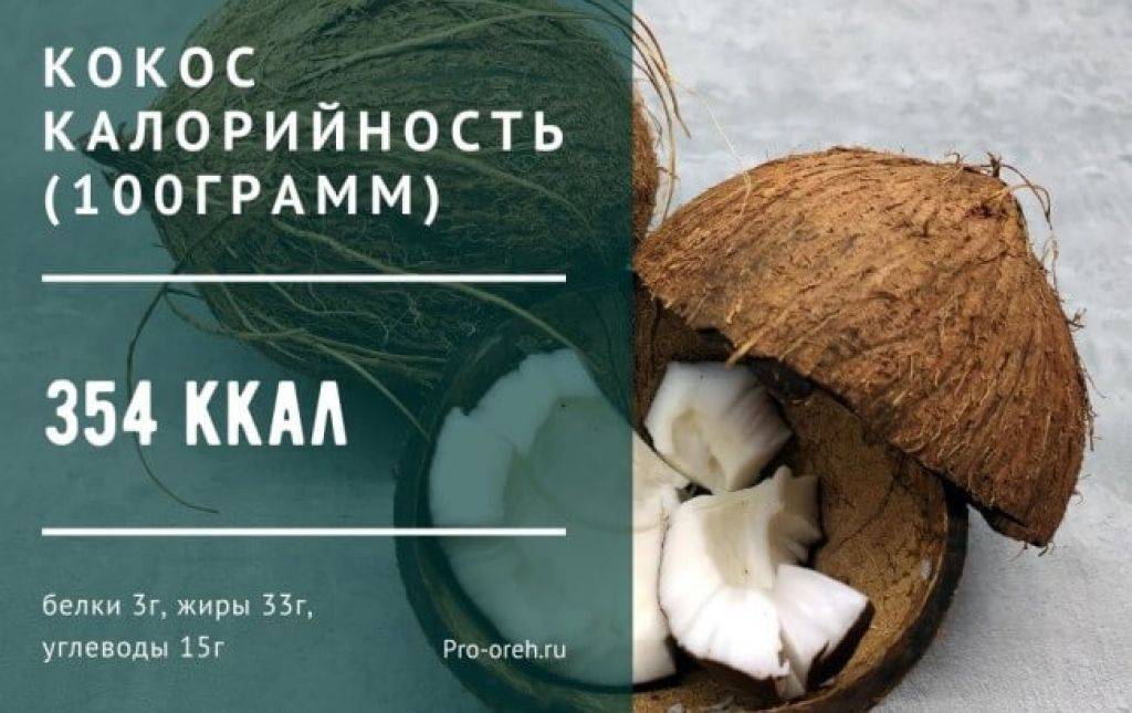 Калорийность, вред и польза кокосового молока