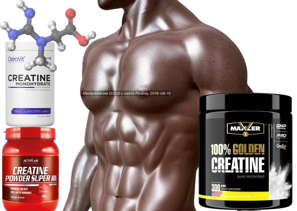 Продукты с большим содержанием белка для роста мышц